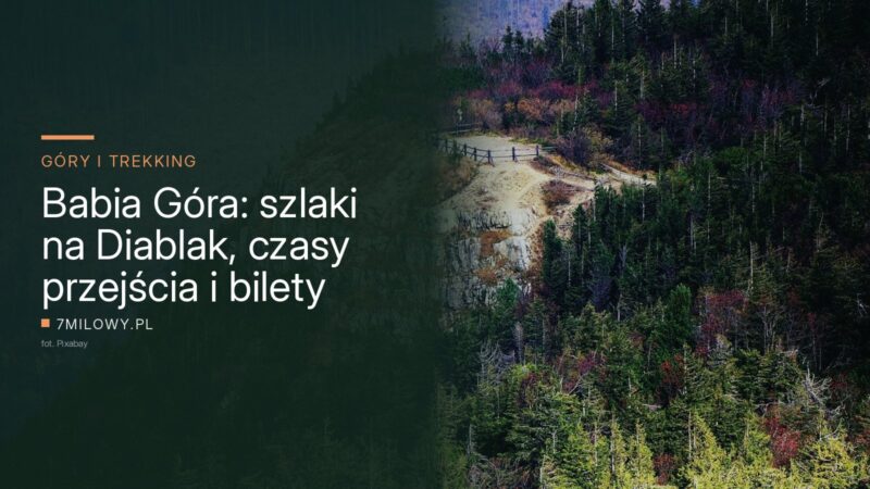 Ogrodzony szlak turystyczny na zboczu Babiej Góry wśród jesiennych świerków i czerwonych krzewów
