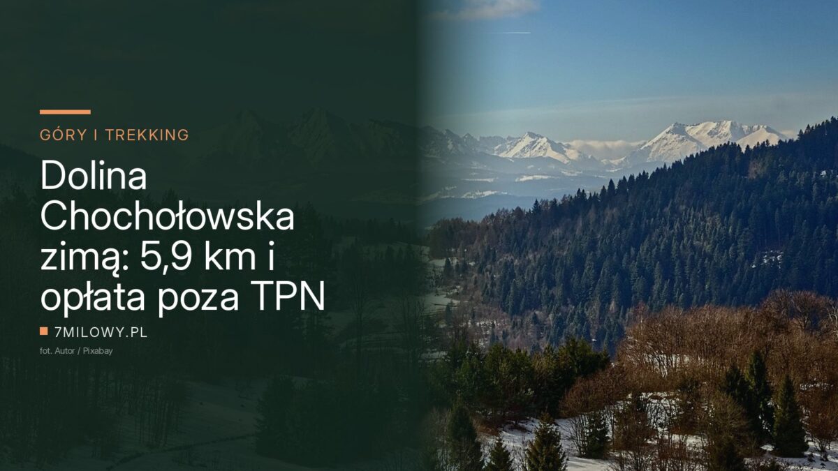 Zaśnieżone szczyty Tatr nad zalesioną doliną, widok zimą