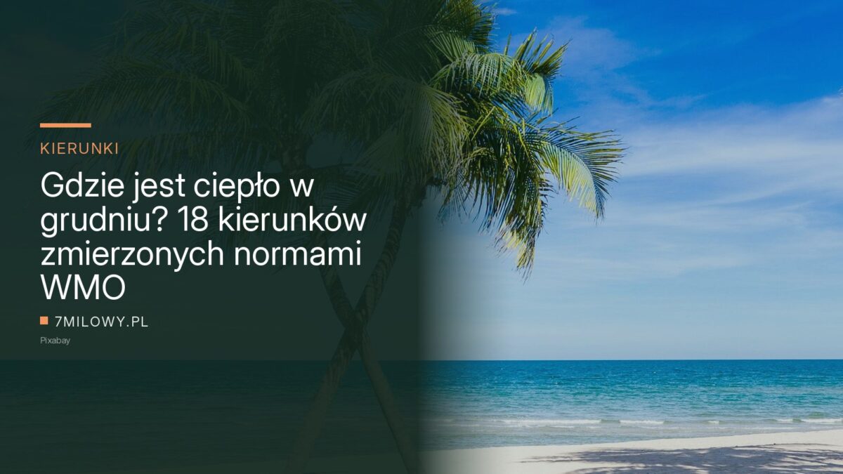 Palma nad piaszczystą plażą i turkusowym morzem w słoneczny dzień