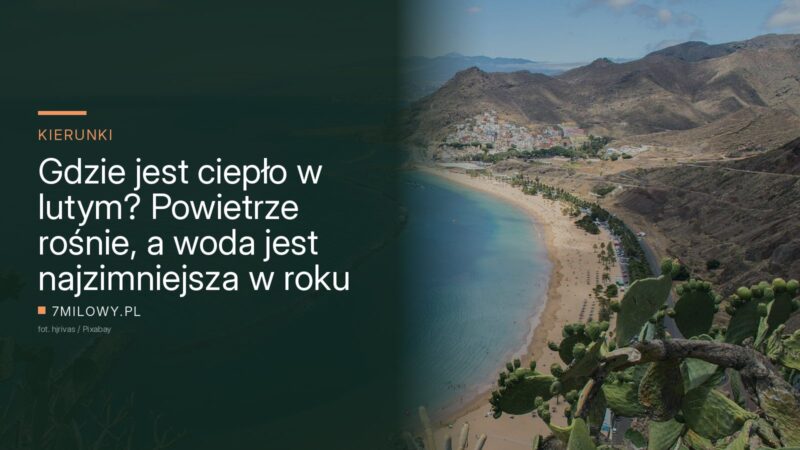 Zatoka z piaszczystą plażą i falochronami na wybrzeżu Teneryfy, w tle góry i zabudowa