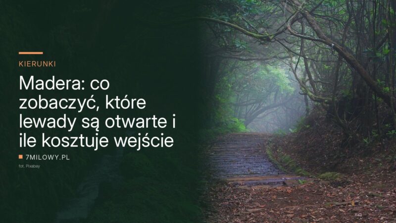 Ścieżka wzdłuż lewady w mglistym laurowym lesie na Maderze