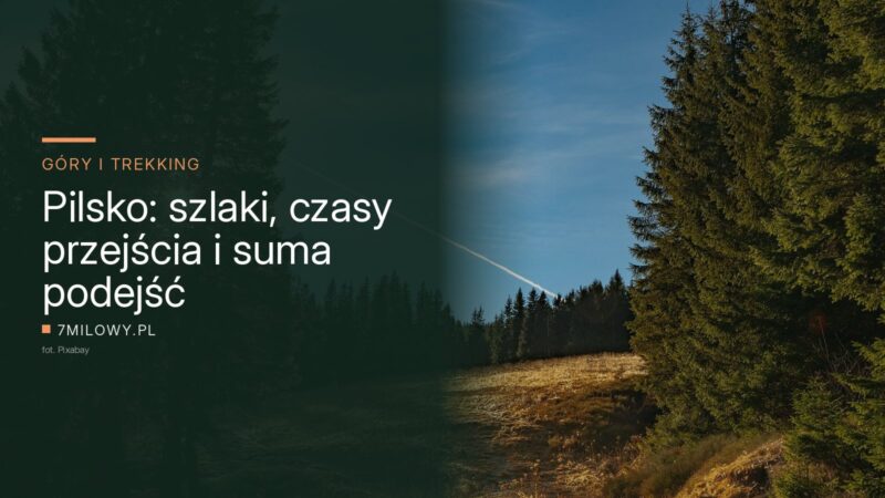 Świerkowy las i skraj hali na stokach Pilska w Beskidzie Żywieckim