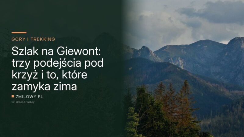 Panorama tatrzańskich grani nad lasem, widok z doliny w rejonie Zakopanego