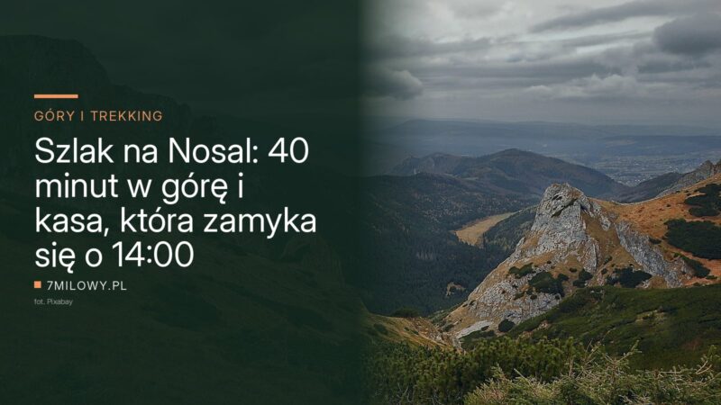 Skalisty grzbiet w reglowej części Tatr, w dole zalesiona dolina, w tle Podhale